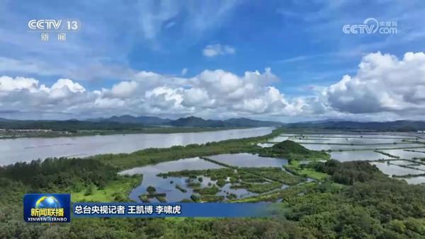 
医院黄牛号贩子票贩子代网上预约代挂号电话“十四五”时期我国湿地面积稳定在8亿亩以上