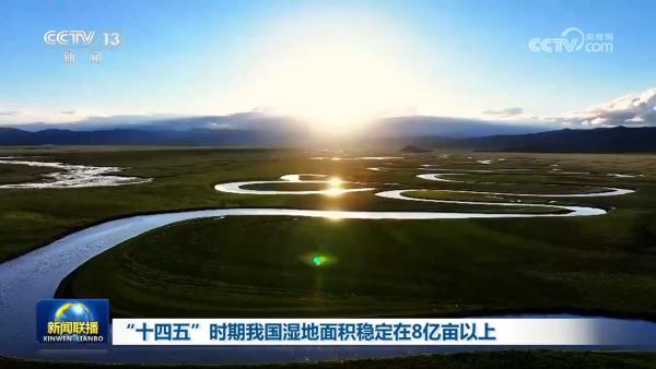 
医院黄牛号贩子票贩子代网上预约代挂号电话“十四五”时期我国湿地面积稳定在8亿亩以上