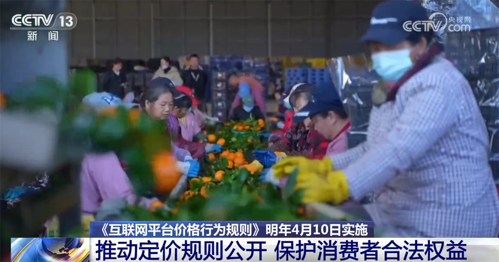 广东省中医院二沙岛医院黄牛号贩子票贩子代网上预约代挂号电话三部门联合发布《互联网平台价格行为规则》 如何保护消费者合法权益?一文解读