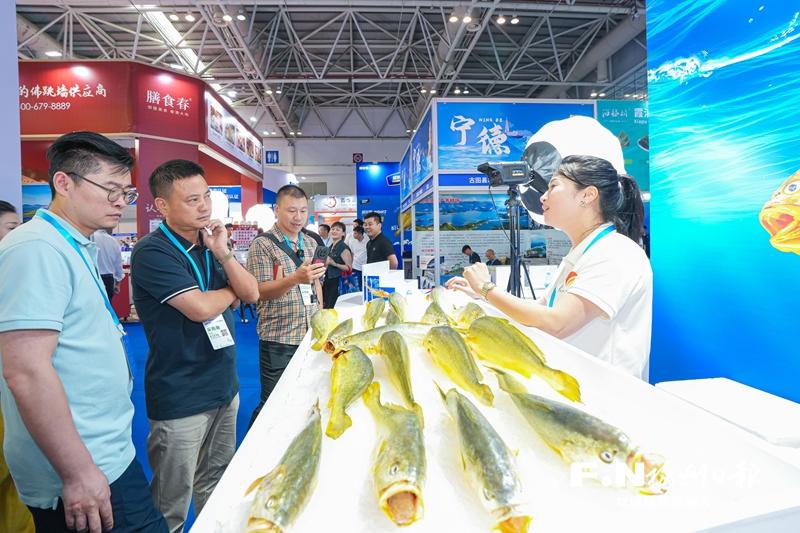 山海交响 协作共富——福州与宁德合力谱写新时代山海协作新篇章