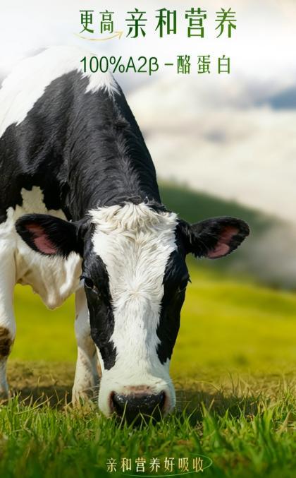 
重庆医科大学附属医院黄帅邱春玲李凡郑科罗玩元尹志康朱江王晓强冯金洲夏海坚张学东黄牛挂号电话鲜语云上有机鲜牛奶重磅上市，定义高端有机鲜牛奶