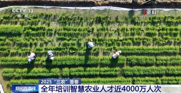 
沈阳陆军医院黄牛号贩子票贩子代网上预约代挂号电话中国农业发展向“新”而行 科技助力提质增收