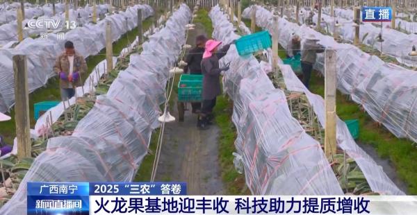 
沈阳陆军医院黄牛号贩子票贩子代网上预约代挂号电话中国农业发展向“新”而行 科技助力提质增收