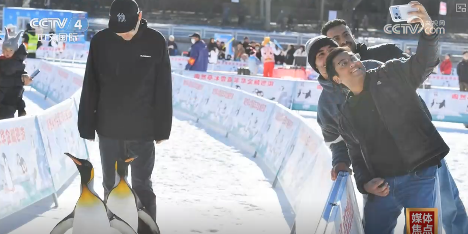 
天津中医药大学二附院黄牛号贩子票贩子代网上预约代挂号电话“冷”赛道激发产业发展“热”活力 “冰雪+”掀起冬季消费新热潮