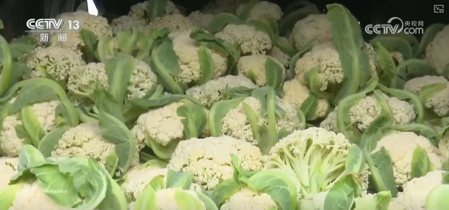 
西安各大医院黄牛挂号电话元旦假期“米袋子”“油瓶子”“菜篮子”供应物丰价稳、市场购销两旺