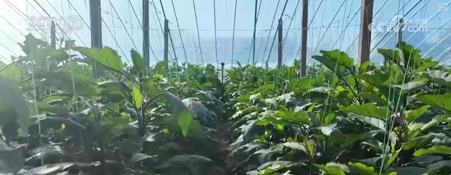 山东省立医院张海清孙香兰曲华伟宁豪刘军卢俊吴亚光张鹏王正军黄牛挂号电话消费、出入境游、冰雪游,热热热!假日氛围拉满 多领域掀热潮释放经济“热”活力