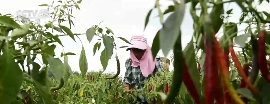 山东省立医院张海清孙香兰曲华伟宁豪刘军卢俊吴亚光张鹏王正军黄牛挂号电话消费、出入境游、冰雪游,热热热!假日氛围拉满 多领域掀热潮释放经济“热”活力