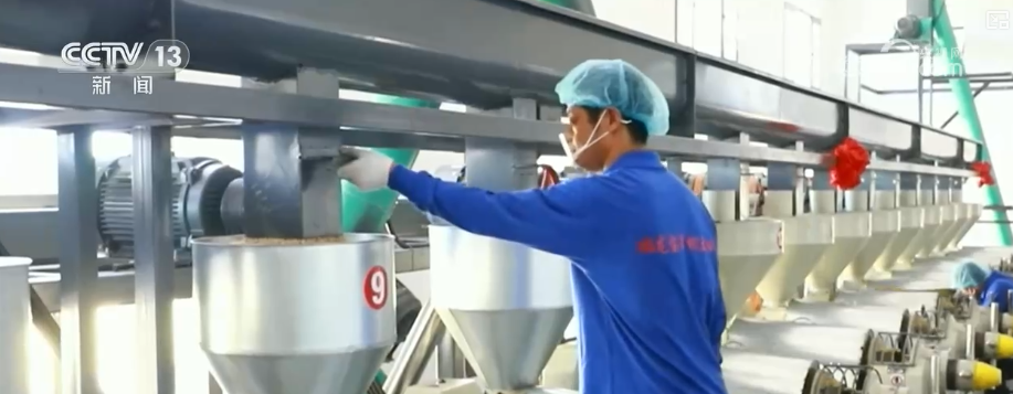 山东省立医院张海清孙香兰曲华伟宁豪刘军卢俊吴亚光张鹏王正军黄牛挂号电话消费、出入境游、冰雪游,热热热!假日氛围拉满 多领域掀热潮释放经济“热”活力