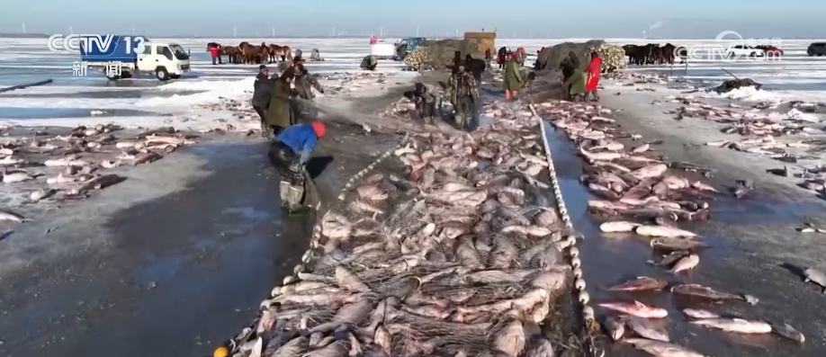 山东省立医院张海清孙香兰曲华伟宁豪刘军卢俊吴亚光张鹏王正军黄牛挂号电话消费、出入境游、冰雪游,热热热!假日氛围拉满 多领域掀热潮释放经济“热”活力