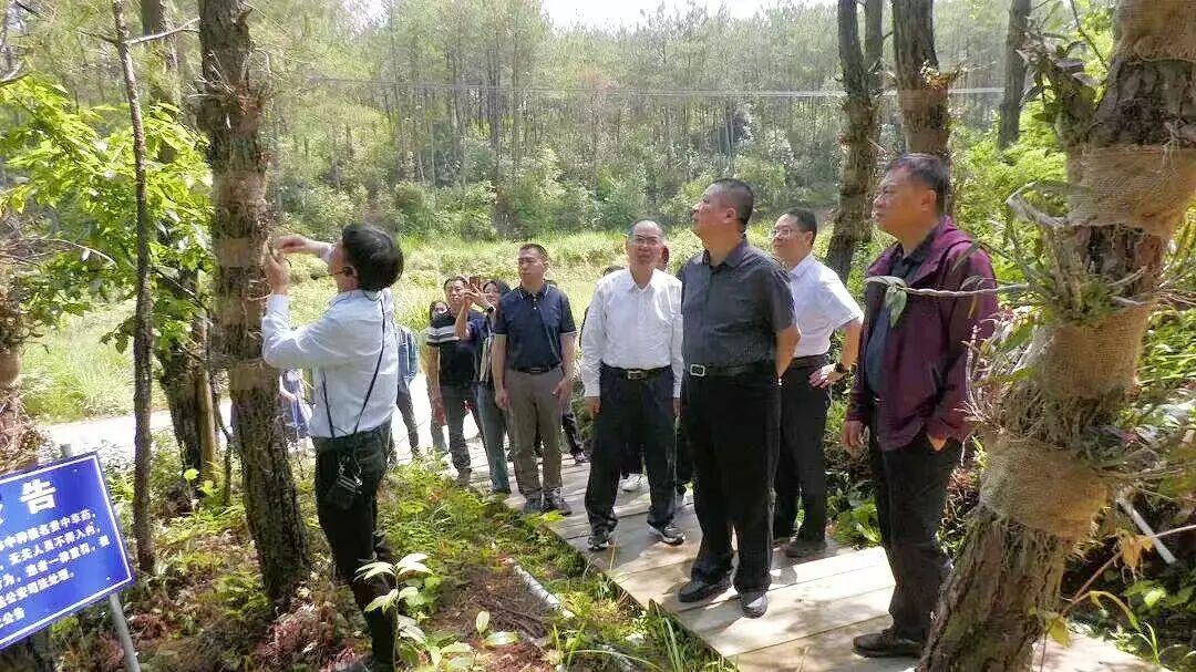 福州市政协2025年履职图鉴来啦！