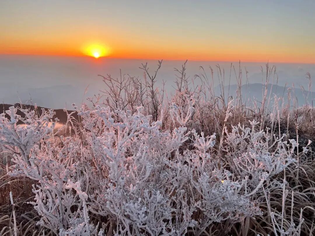 气温大跳水,最低-4℃!福建会迎来2026年的第一场雪吗?