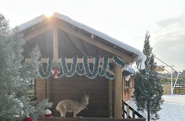 
解放军总医院医院黄牛号贩子票贩子代网上预约代挂号电话中铁黑龙滩“鹿野仙踪”乐园投入试运营 塑造全龄段“轻度假”目的地