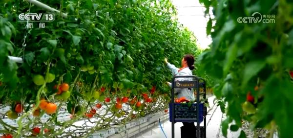 首都医科大学附属胸科医院黄牛号贩子票贩子代网上预约代挂号电话九部门20条举措推进绿色消费 涵盖农产品、家电家装、餐饮住宿等多领域