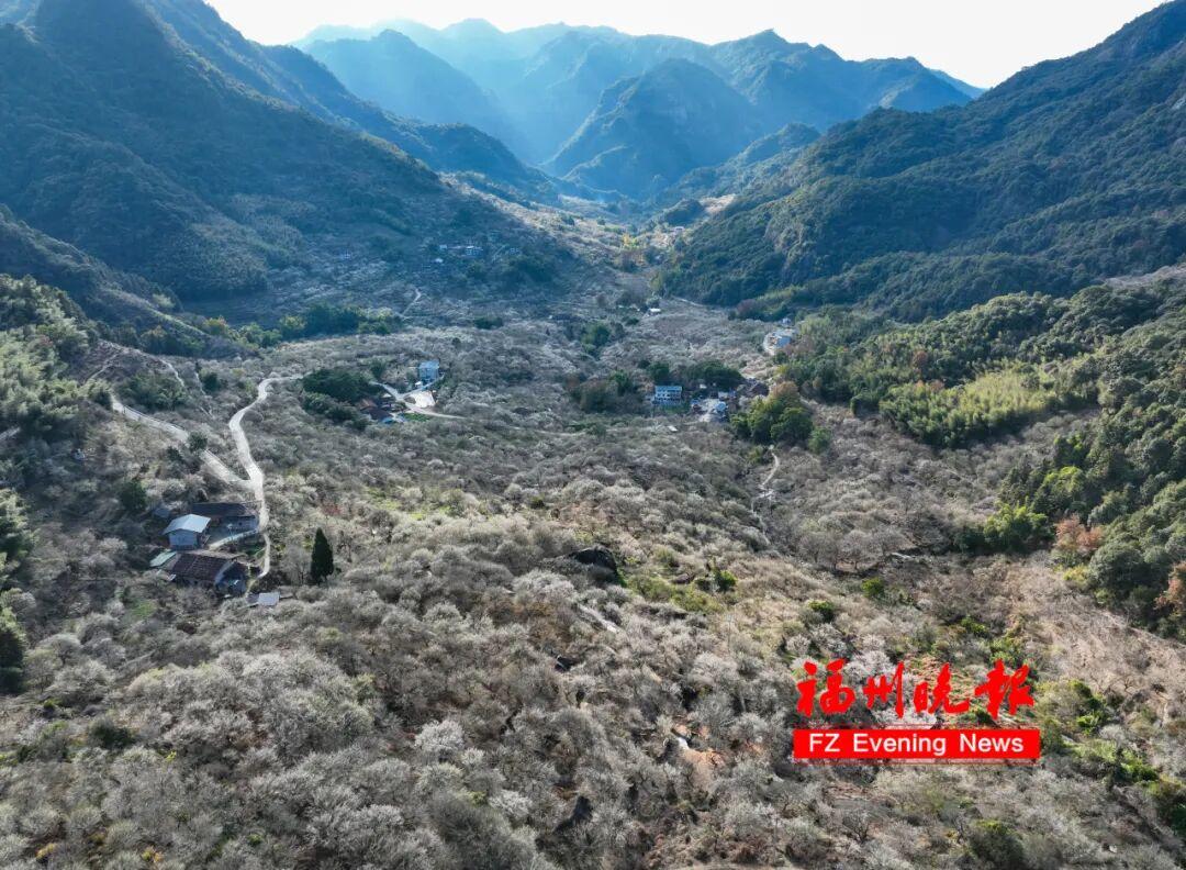 直冲20℃！福州要升温了！时间就在……