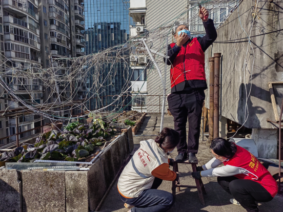 1.13专项整治新闻稿332