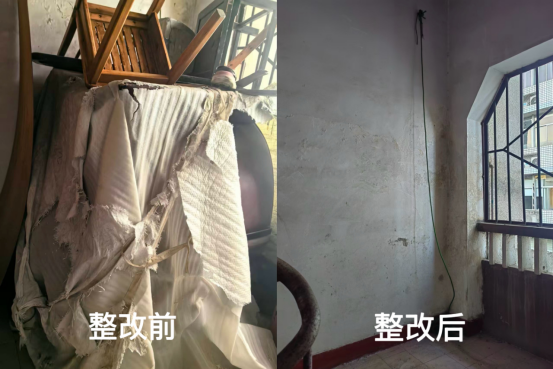 1.13专项整治新闻稿415