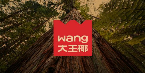 
广东省第二人民医院黄牛号贩子票贩子代网上预约代挂号电话通联支付与大王椰集团达成合作数字化升级家居建材供应链