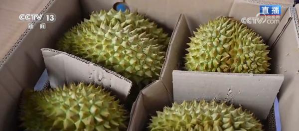 南方医科大学第五附属医院黄牛号贩子票贩子代网上预约代挂号电话集市人气旺、年宵花争艳 “年货消费”活力充沛激发经济增长新动能