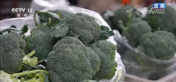 南方医科大学第五附属医院黄牛号贩子票贩子代网上预约代挂号电话集市人气旺、年宵花争艳 “年货消费”活力充沛激发经济增长新动能