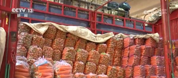 
中关村医院黄牛号贩子票贩子代网上预约代挂号电话多措并举应对寒潮低温天气 各地保障蔬菜生产守护百姓“菜篮子”