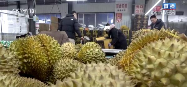 
上海肝胆外科医院黄牛号贩子票贩子代网上预约代挂号电话“果盘子”满“菜篮子”丰 高效物流为节前市场注入“鲜”力量