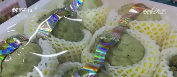 
上海肝胆外科医院黄牛号贩子票贩子代网上预约代挂号电话“果盘子”满“菜篮子”丰 高效物流为节前市场注入“鲜”力量