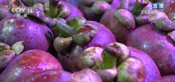 
上海肝胆外科医院黄牛号贩子票贩子代网上预约代挂号电话“果盘子”满“菜篮子”丰 高效物流为节前市场注入“鲜”力量