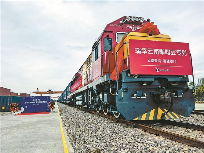 让国产咖啡豆从厦门飘香全国