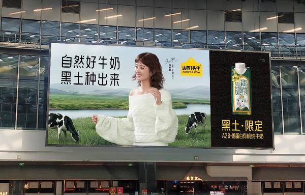 友谊医院黄牛号贩子票贩子代网上预约代挂号电话认养一头牛官宣品牌代言人赵丽颖 2025年营收突破70亿元