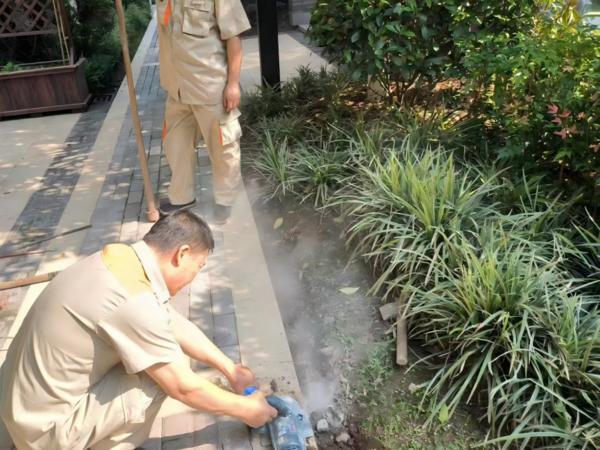 
陆军军医大学新桥医院杨鹰易善红方针强马丹肖卫东黄牛挂号电话三年耕耘，口碑为证：金茂服务三年蝶变茅莱山居，树立二手盘服务新标杆