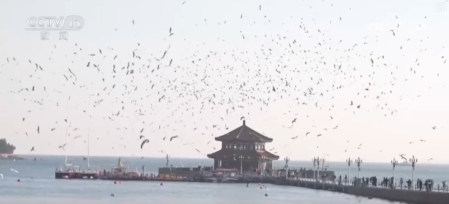 
辽宁省肿瘤医院黄牛号贩子票贩子代网上预约代挂号电话外溢产值3390.95亿元！“电影+”消费热浪溢出影院 释放文化经济增长新空间