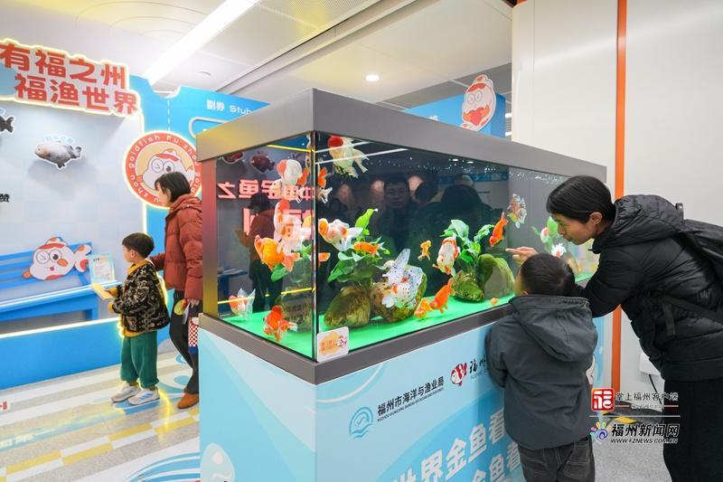 福州金鱼城市移动会客厅活动启动 金鱼首次&ldquo;游&rdquo;进地铁