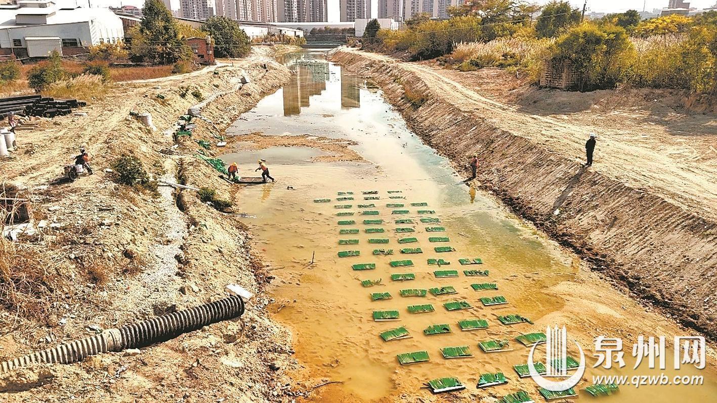 南安河道治理手段出新 生态基改善美人溪生态环境