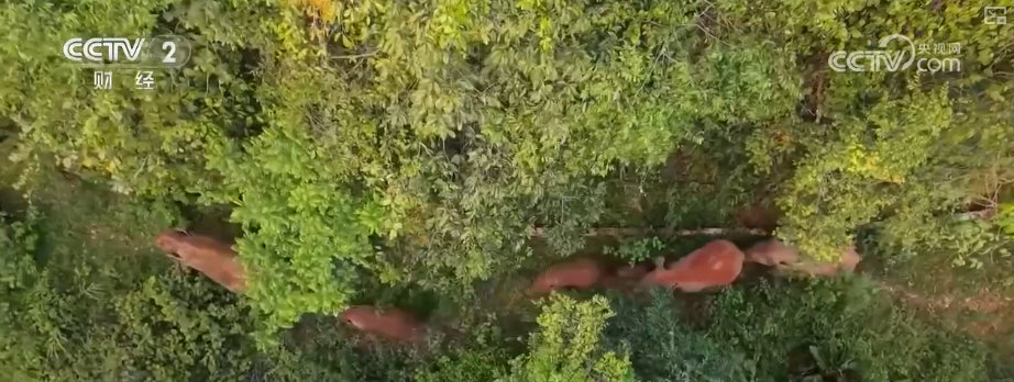 
上海交通大学医学院附属新华医院崔心刚曲发军黄云腾华丽房定珠马杰周莹吕凡王奕黄牛挂号电话向“好”向“新”向“绿”，新突破！多领域捷报频传 经济发展“新”动力更足