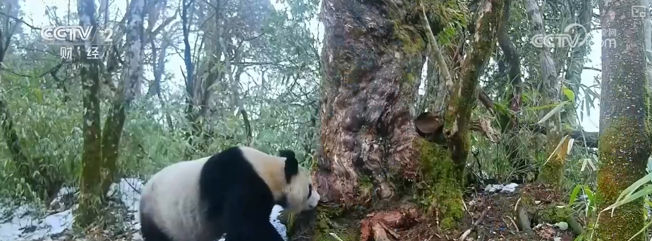 
上海交通大学医学院附属新华医院崔心刚曲发军黄云腾华丽房定珠马杰周莹吕凡王奕黄牛挂号电话向“好”向“新”向“绿”，新突破！多领域捷报频传 经济发展“新”动力更足