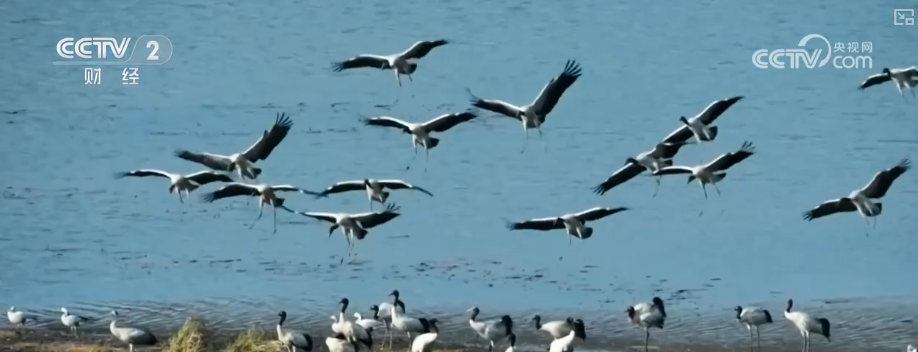 
上海交通大学医学院附属新华医院崔心刚曲发军黄云腾华丽房定珠马杰周莹吕凡王奕黄牛挂号电话向“好”向“新”向“绿”，新突破！多领域捷报频传 经济发展“新”动力更足
