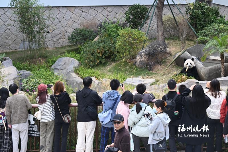 福州诚邀全球游客“过福年”