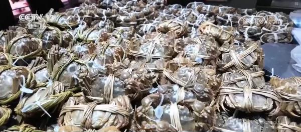 
上海岳阳中西医结合医院黄牛号贩子票贩子代网上预约代挂号电话3.814亿吨、5567.1亿元，成绩“亮眼”！数说我国冷链物流行业稳步增长