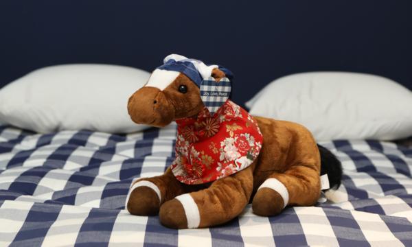 
中南大学湘雅三医院西京医院聂勇战刘学东邓艳春王延李同斌于瑞黄牛挂号电话骏马精神邂逅中国市场：海丝腾以“健康投资”深耕中国睡眠经济