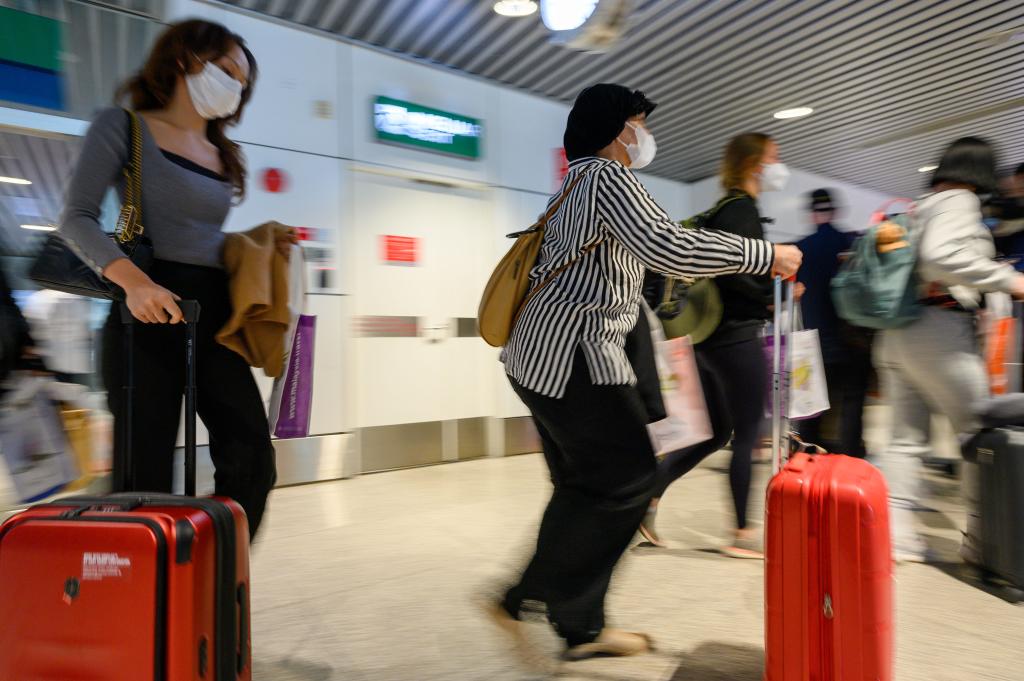 防尼帕病毒 亚洲多国升级口岸防疫