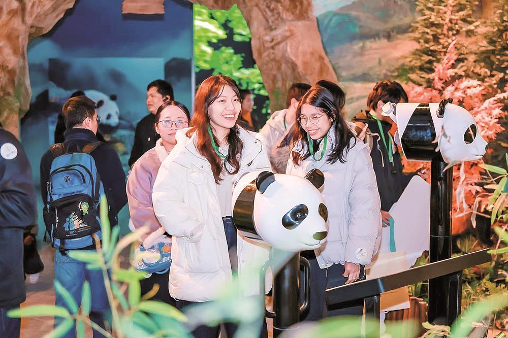 榕台青年观熊猫话融合:熊猫是联结两岸的友好使者