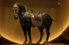 
上海第十人民医院黄牛号贩子票贩子代网上预约代挂号电话从甲骨残片“马”