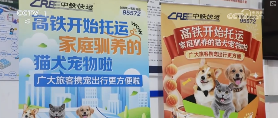 上海第六人民医院黄牛号贩子票贩子代网上预约代挂号电话春运在即多部门出台便民措施加强服务 保障百姓更好便捷出行