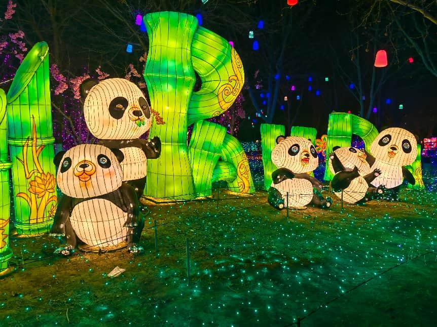 
重庆医科大学附属儿童医院王珊珊白燕李禄生罗蓉郭志超刘丰黄牛挂号电话火树银花映中轴 京南新春启华章——2026大兴魏善庄彩灯大世界点亮消费新热潮