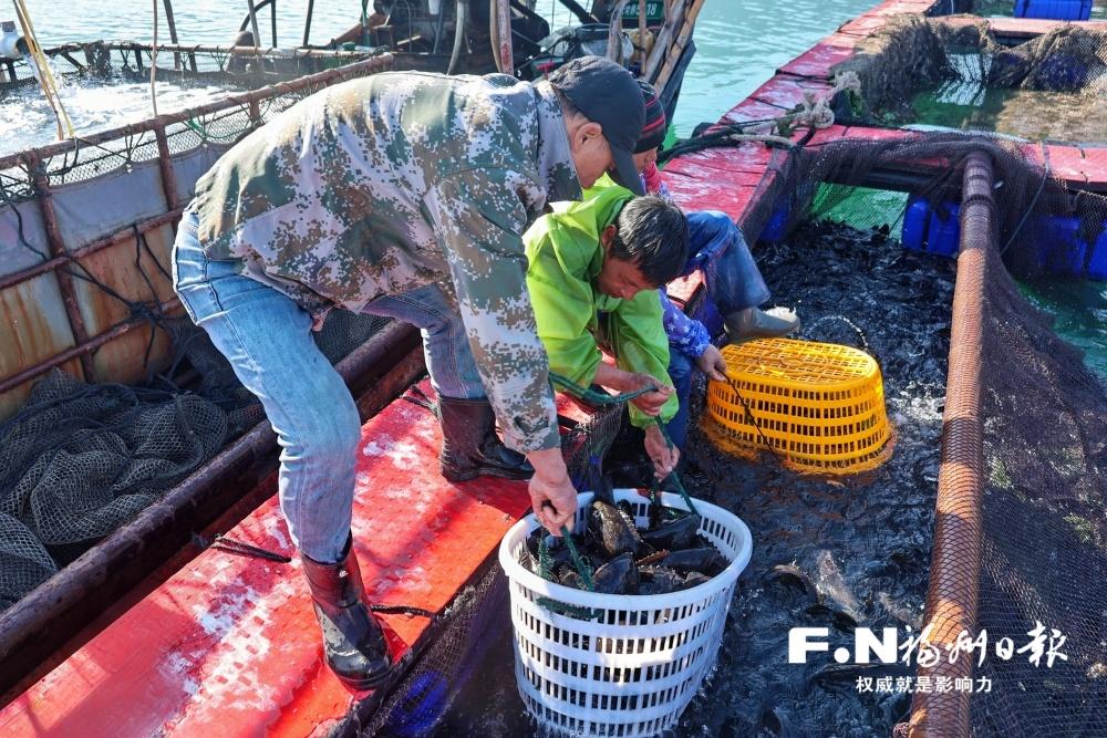 连江海洋经济与“美丽经济”绽放新活力