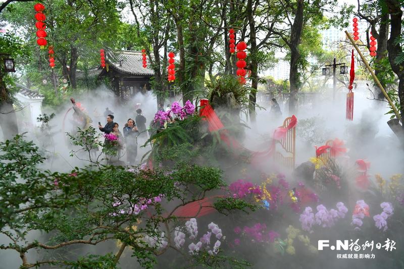 于山兰花展游客创新高