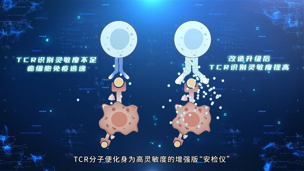 上海复旦大学附属华山医院赵重波徐文武陈亮周丽诺徐峰孙新芬黄牛挂号电话打造消灭癌细胞的“超级守护者” 中国科学家最新成果为癌症免疫疗法提供新思路