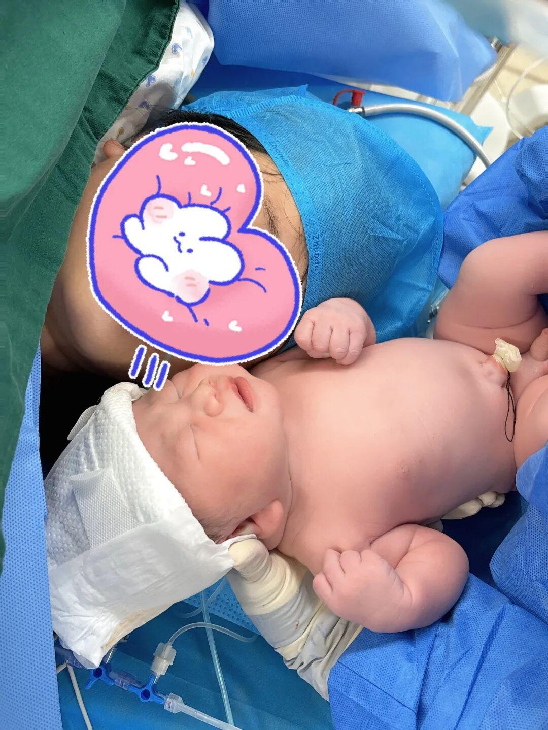 大年初一，福建&ldquo;马宝宝&rdquo;陆续报到！有人小名就叫&ldquo;初一&rdquo;