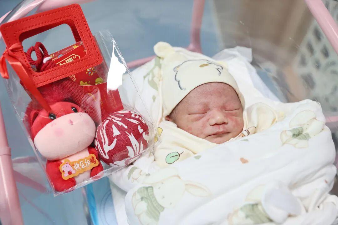 大年初一，福建&ldquo;马宝宝&rdquo;陆续报到！有人小名就叫&ldquo;初一&rdquo;