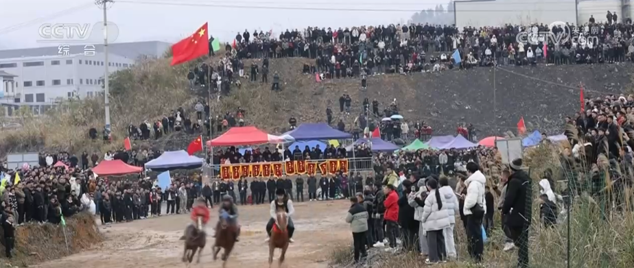 上海市第六人民医院张长青韩培贾伟涛黄牛挂号电话马年新春骏马奔腾启新程 传统马术越千年古老技艺焕发崭新光彩